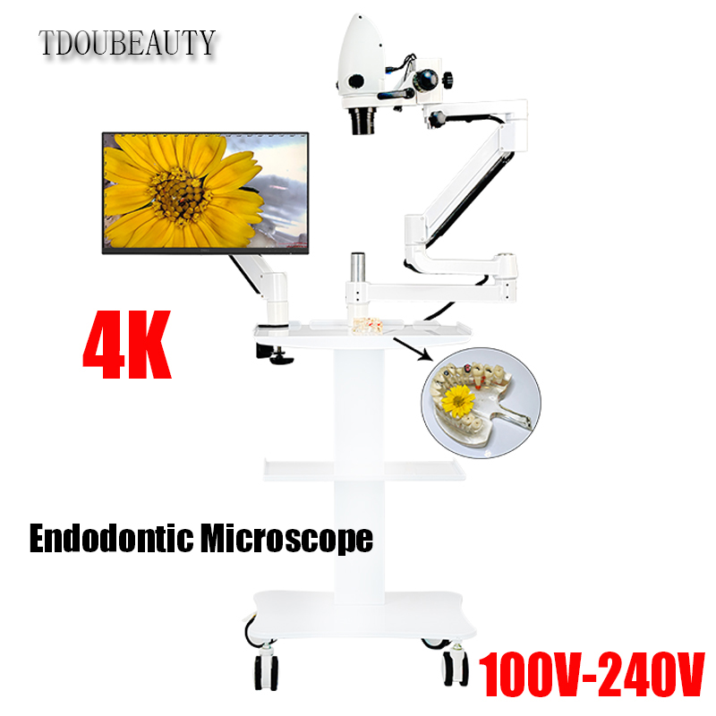 Teeth Whitening Video - مجهر إلكتروني للأسنان 4K 20 مليون