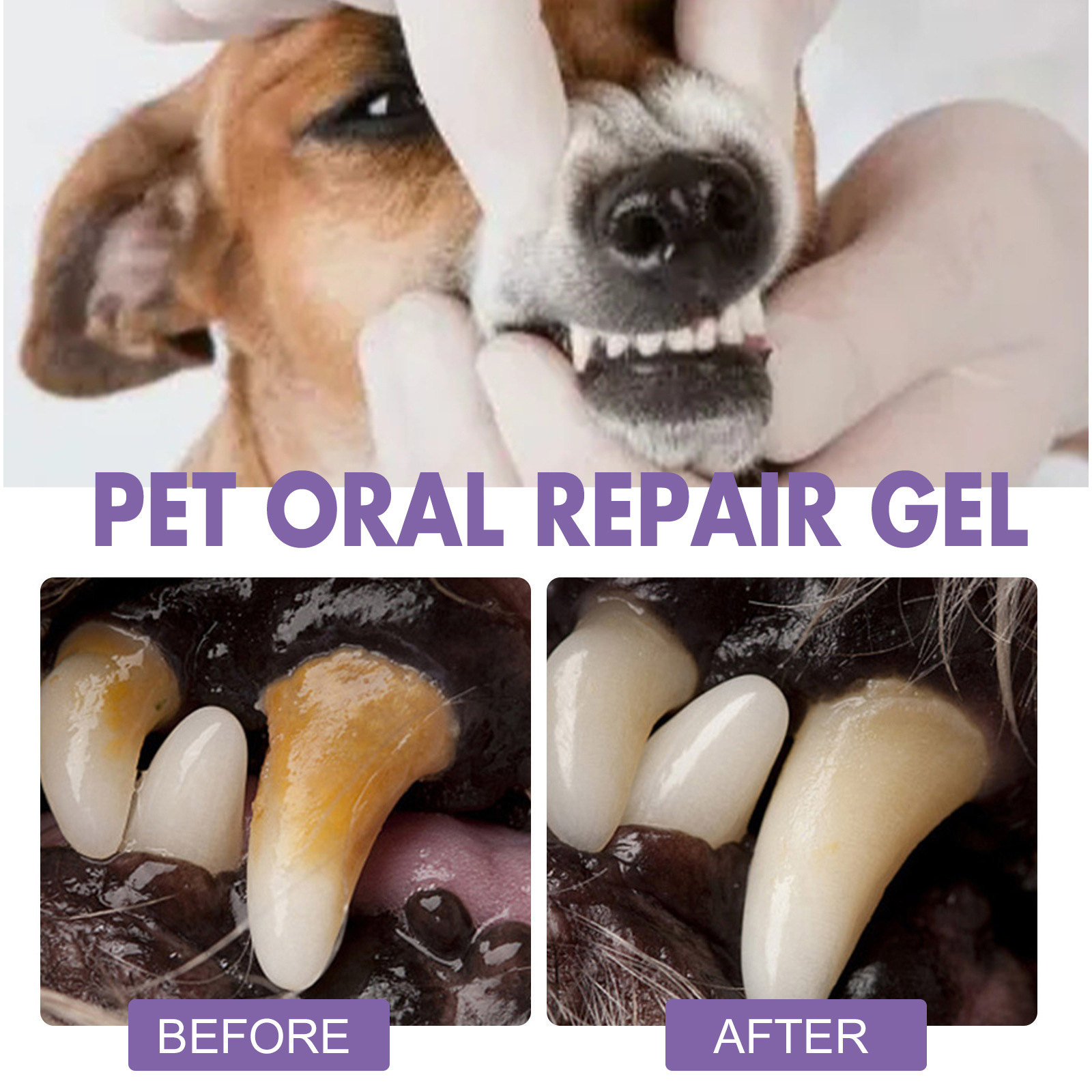 الحيوانات الأليفة الفم إصلاح ه - مراجعة Teeth Whitening Price وسعره